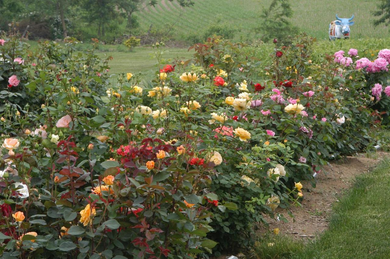 Annville Inn Bed & Breakfast Buitenkant foto